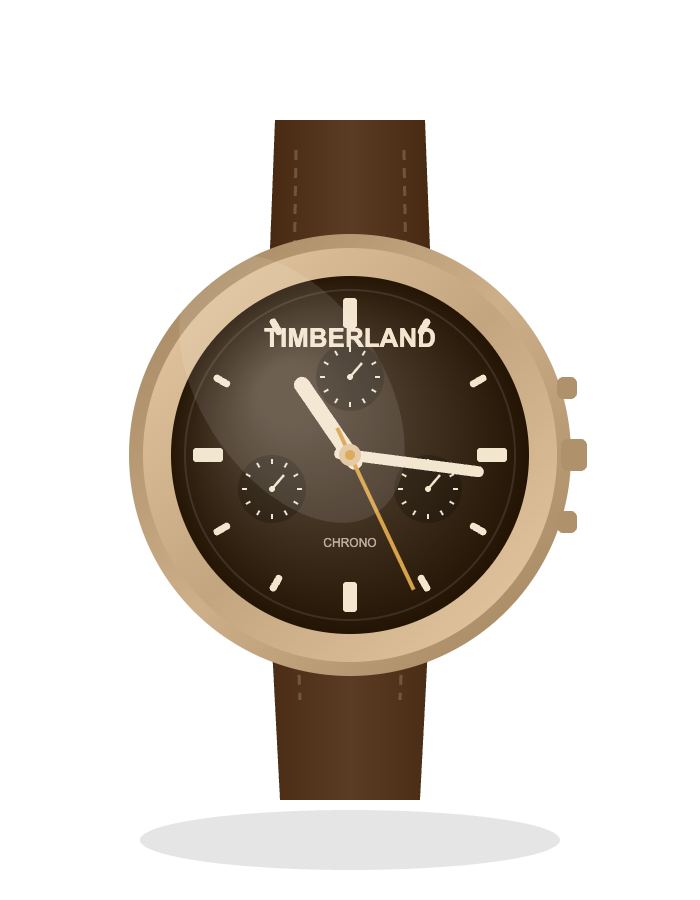 TIMBERLAND Chrono Leather Brown